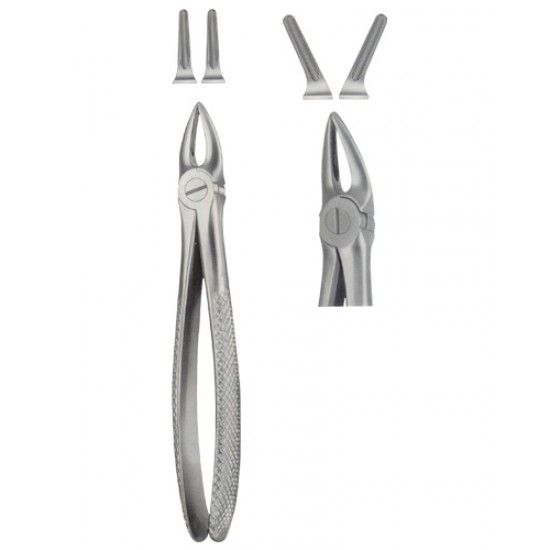 Tooth Extracting Forceps