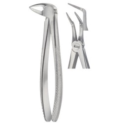 Tooth Extracting Forceps