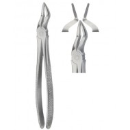 Tooth Extracting Forceps