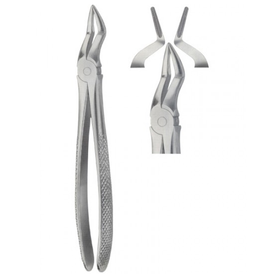 Tooth Extracting Forceps