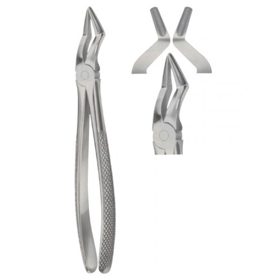 Tooth Extracting Forceps