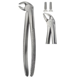 Tooth Extracting Forceps
