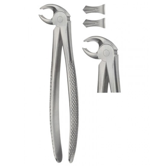 Tooth Extracting Forceps