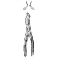 Tooth Forceps for Children
