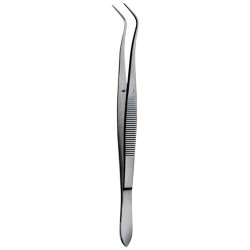 Tooth Tweezers