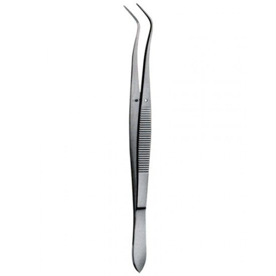 Tooth Tweezers