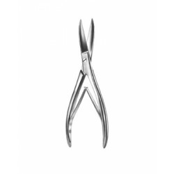 Cardiovascular Surgery
