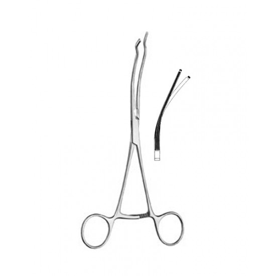 Cardiovascular Surgery
