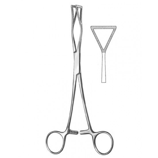 Cardiovascular Surgery