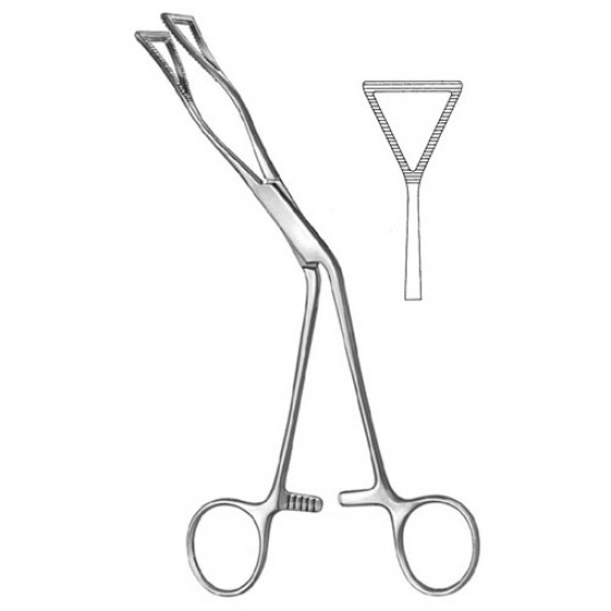 Cardiovascular Surgery