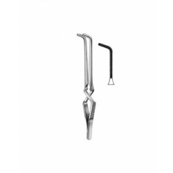 Cardiovascular Surgery
