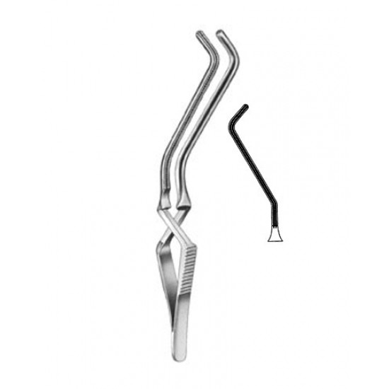 Cardiovascular Surgery