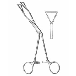 Cardiovascular Surgery