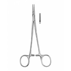 Cardiovascular Surgery