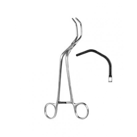 Cardiovascular Surgery