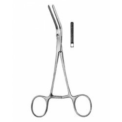 Cardiovascular Surgery