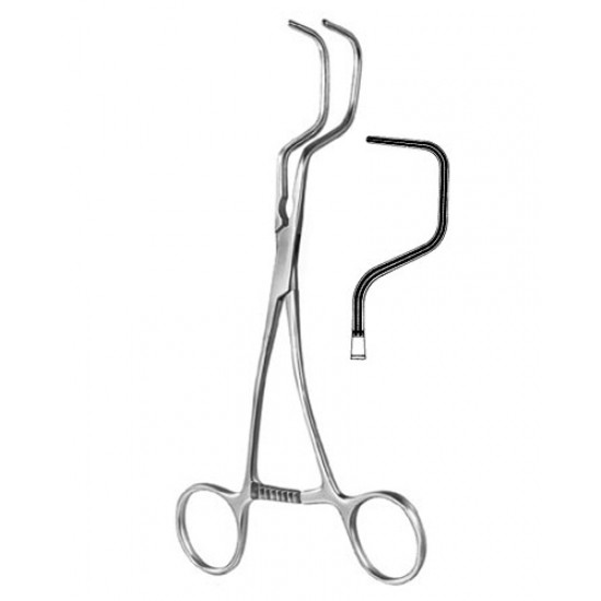 Cardiovascular Surgery