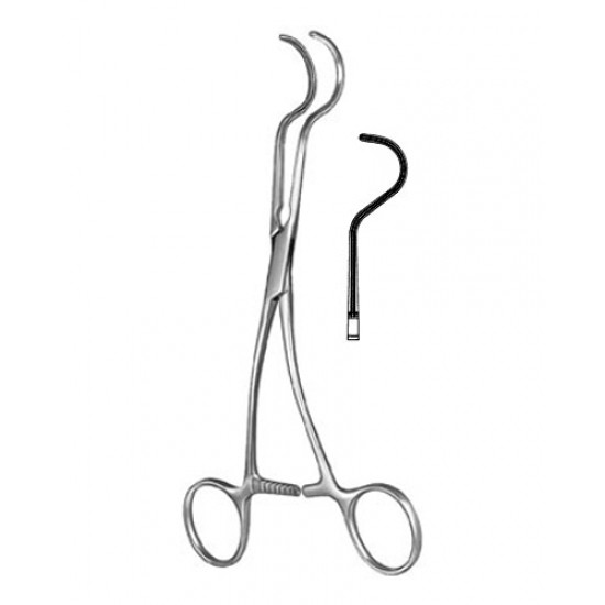 Cardiovascular Surgery