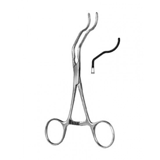 Cardiovascular Surgery