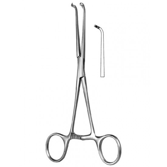 Cardiovascular Surgery