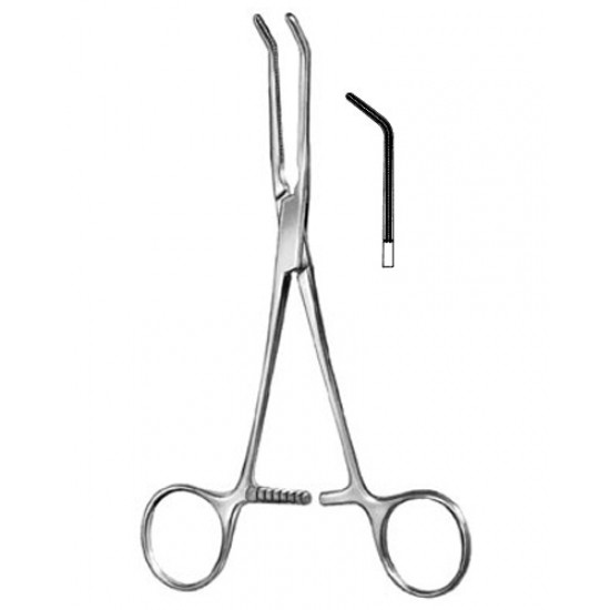 Cardiovascular Surgery