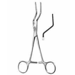 Cardiovascular Surgery