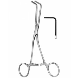 Cardiovascular Surgery
