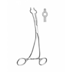 Cardiovascular Surgery