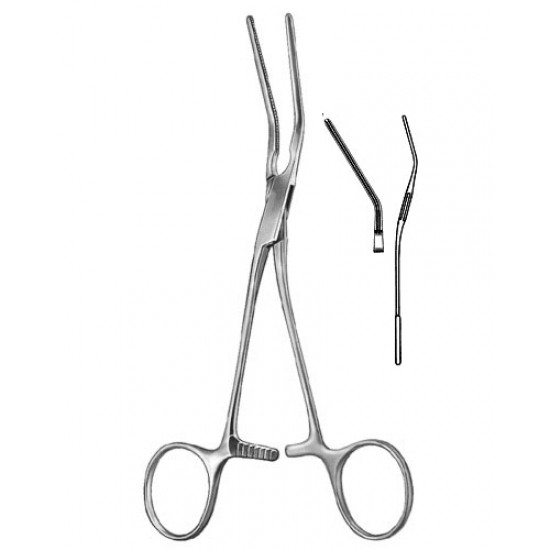 Cardiovascular Surgery