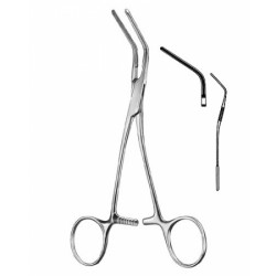 Cardiovascular Surgery