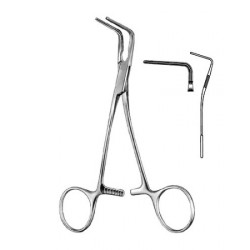 Cardiovascular Surgery