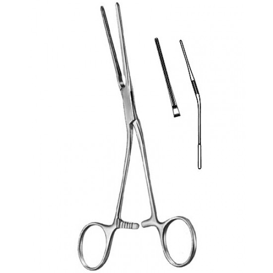 Cardiovascular Surgery
