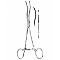 Cardiovascular Surgery