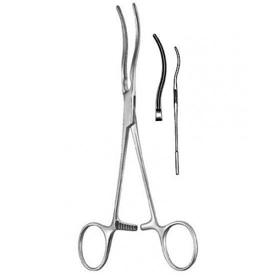 Cardiovascular Surgery