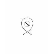 Eurosurgery, Laminectomy