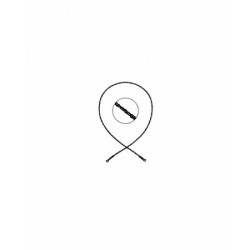Eurosurgery, Laminectomy
