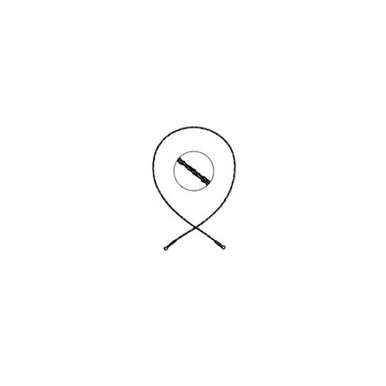 Eurosurgery, Laminectomy