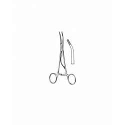 Eurosurgery, Laminectomy
