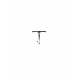 Eurosurgery, Laminectomy