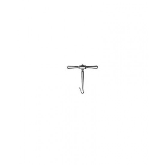 Eurosurgery, Laminectomy