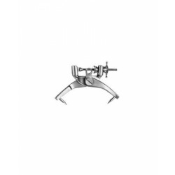 Eurosurgery, Laminectomy