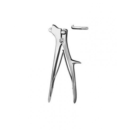 Eurosurgery, Laminectomy