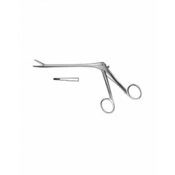 Eurosurgery, Laminectomy