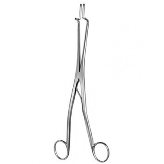 Gynecology