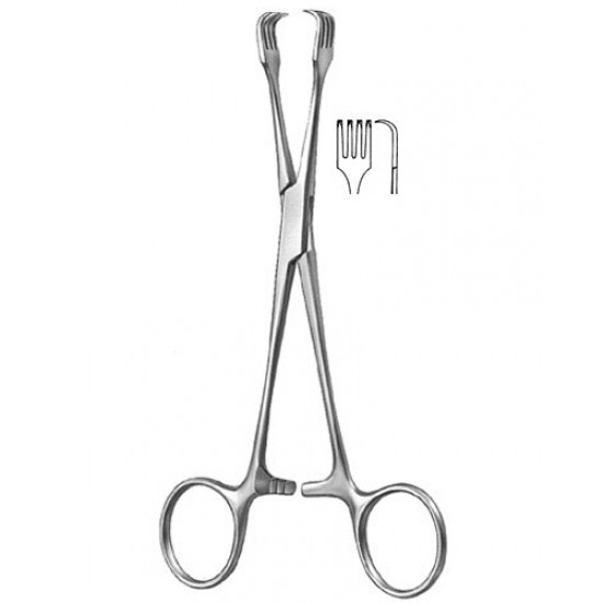Gynecology