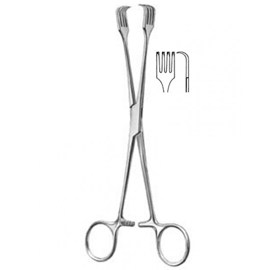 Gynecology