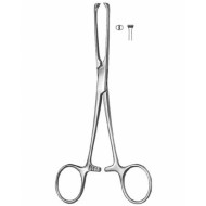 Stomach, Intes tines, Rectum