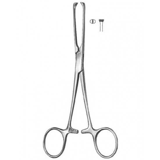 Stomach, Intes tines, Rectum