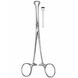 Stomach, Intes tines, Rectum