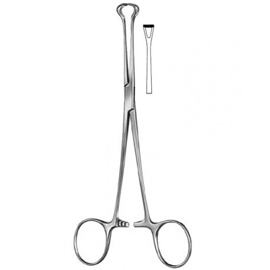 Stomach, Intes tines, Rectum